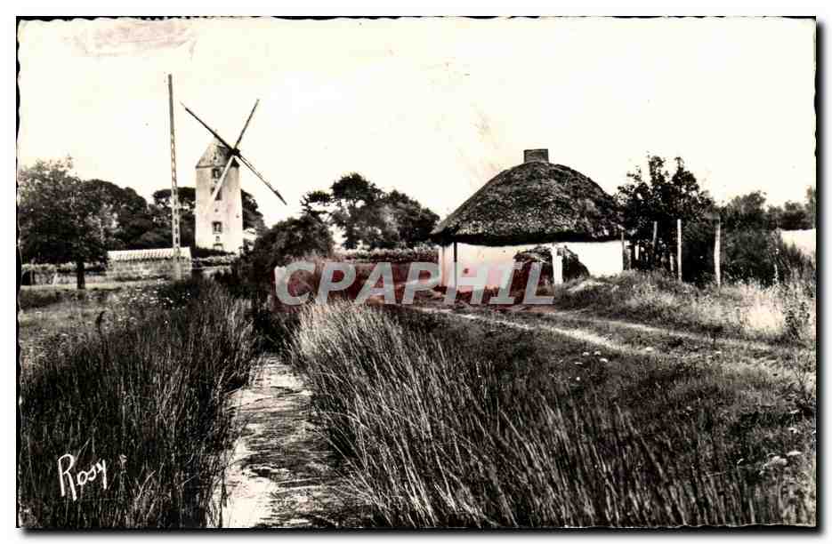 En Vendee CPA Bourrine et moulin du pays maraichin (mill)