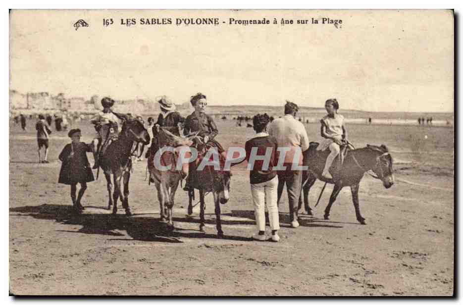 Les Sables d'Olonne - Promenade à âne sur la Plage - n° 163