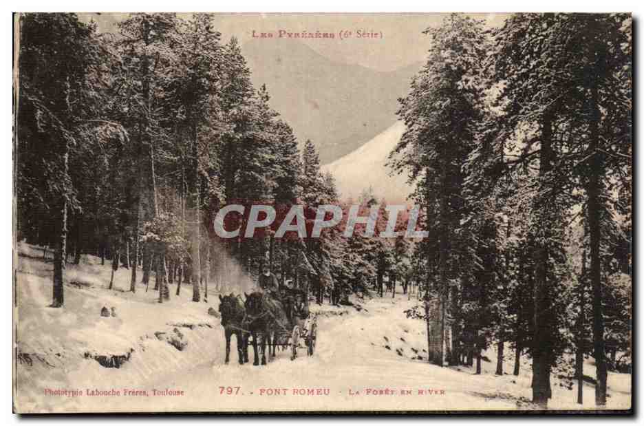 Font Romeu CPA La foret en hiver (cheval) traineau)