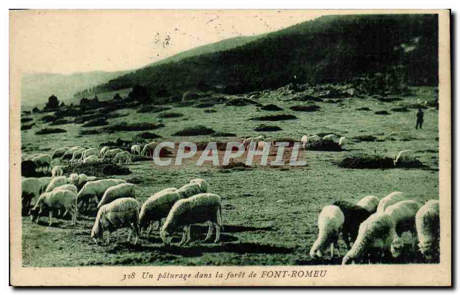Font Romeu CPA Un paturage dans la foret (moutons)
