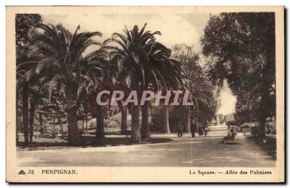 Perpignan CPA Le square Allee des Palmiers