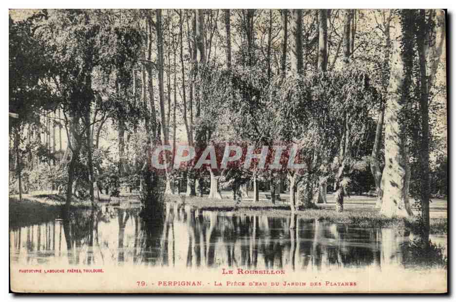 Perpignan - la Piece d'eau du jardin des plantanes - CPA 