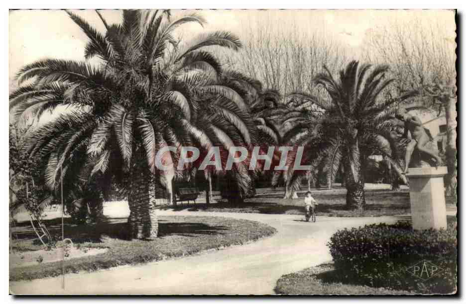Perpignan - Jardin d'enfants et des Palmiers - CPA 