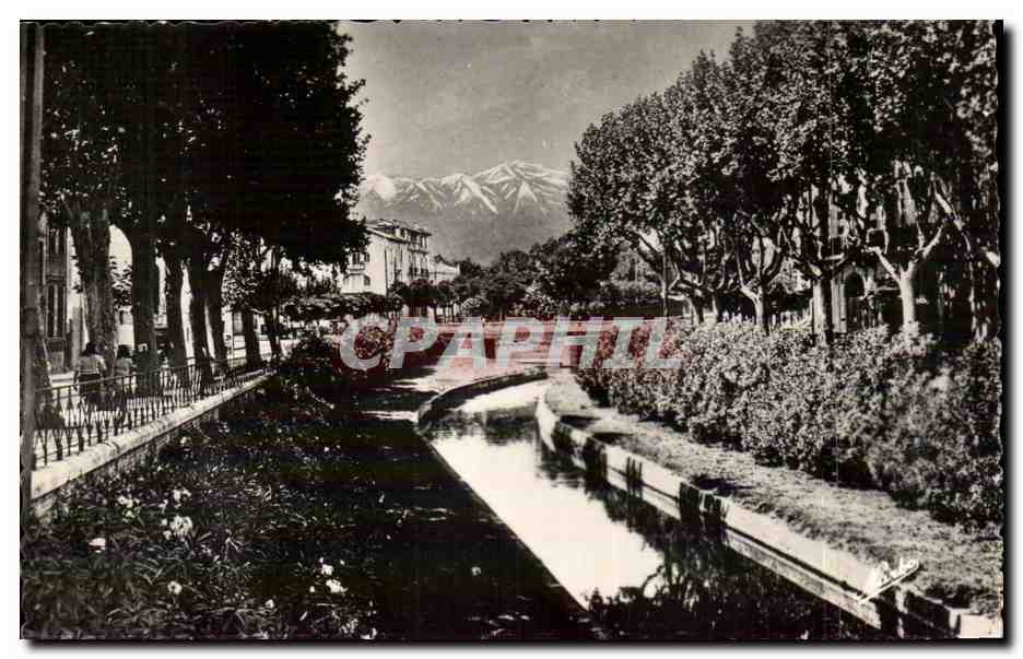 Perpignan - Les Quais fleuris de la Basse et au fond le Canigou - CPA 