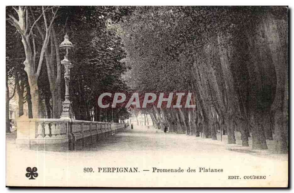 Perpignan - Promenades des Plantanes CPA 