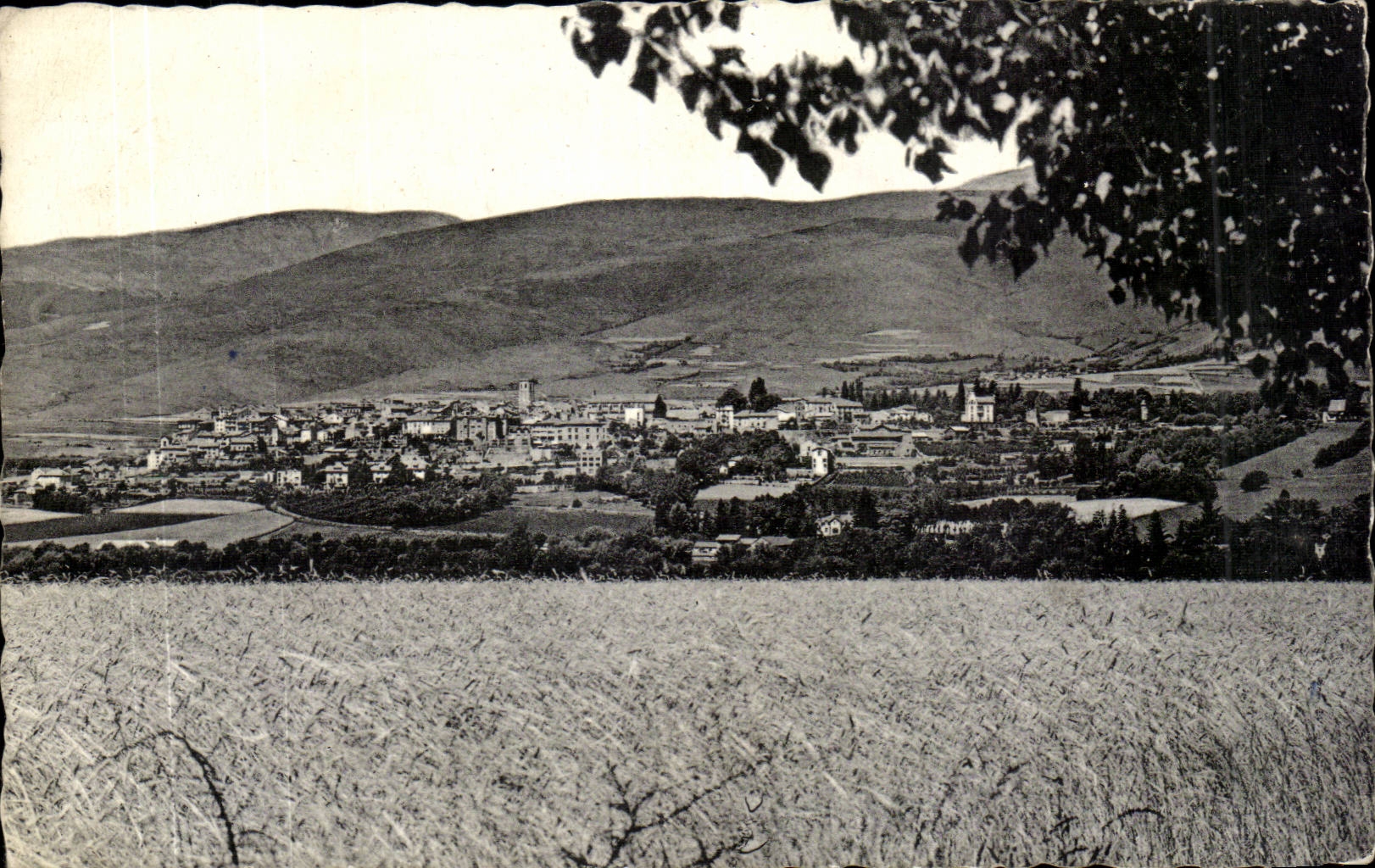 Bourg Madame - Panorama de Puigcerda depuis la route d'Osseja - CPA 