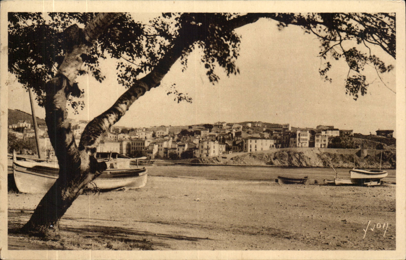 Banyuls sur Mer - Un Coin de Parc - CPA 