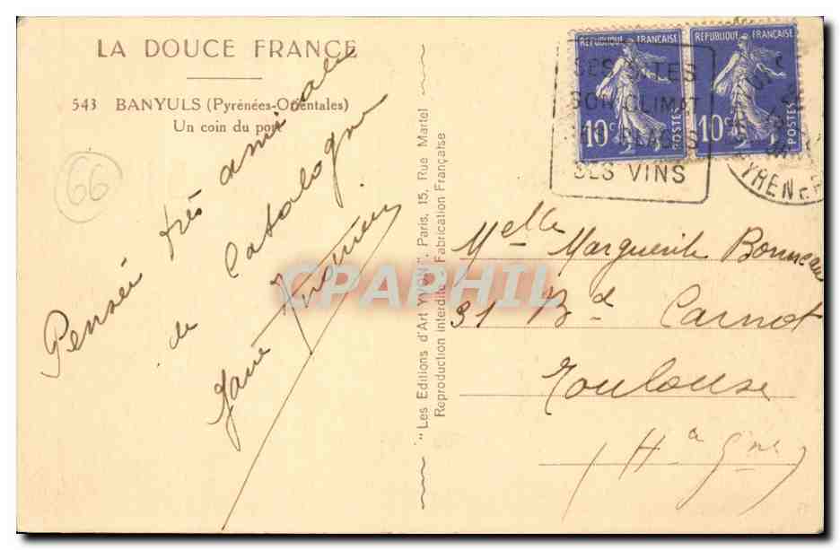 Banyuls sur Mer - Un Coin de Parc - CPA  — Rückseite