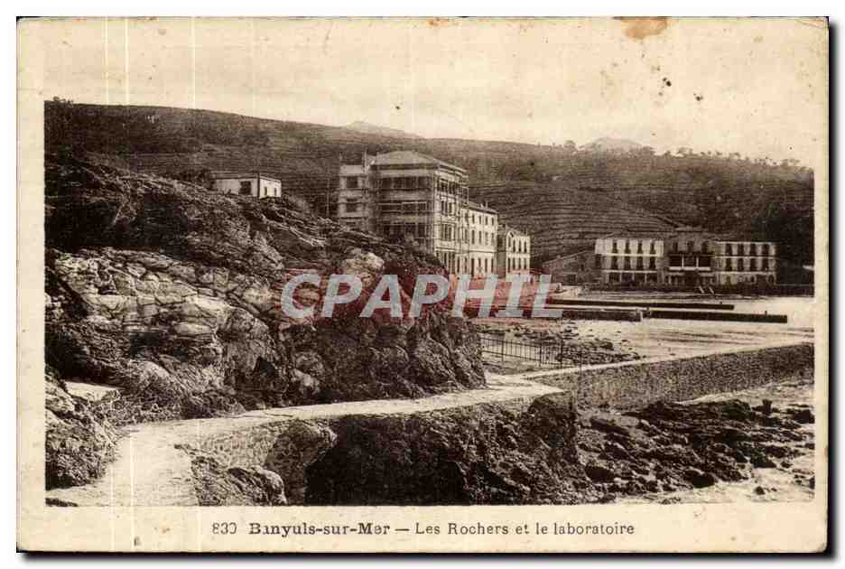 Banyuls sur Mer - Les Rochers et le laboratoire - CPA 