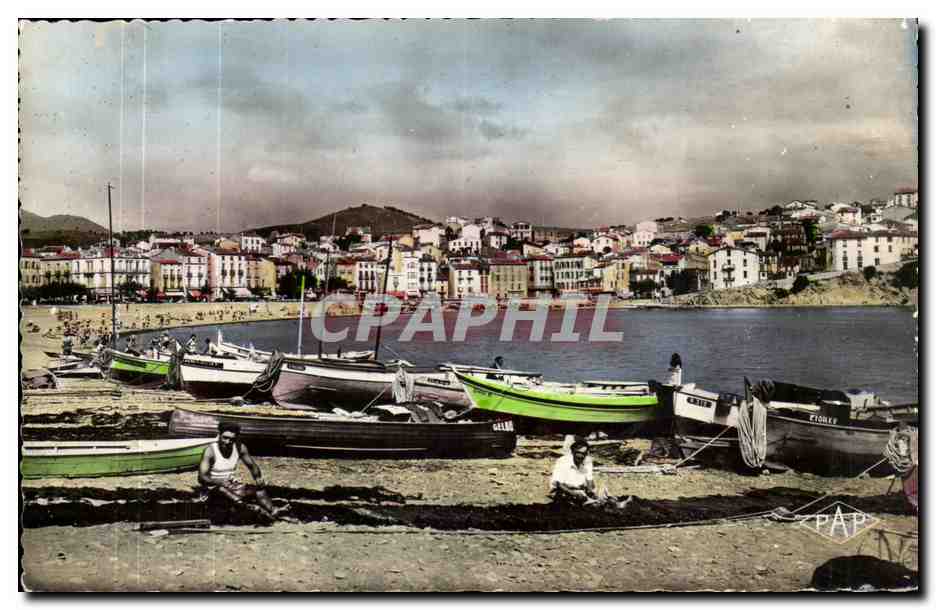 Banyuls sur Mer - Vue Generale et la Rade - CPA 