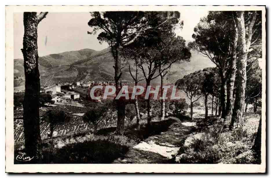 Banyuls sur Mer CPA Le vieux Banyuls vu de la SAlette