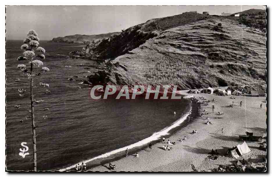 Banyuls sur Mer CPA La plage des Elmes vue du Robinson
