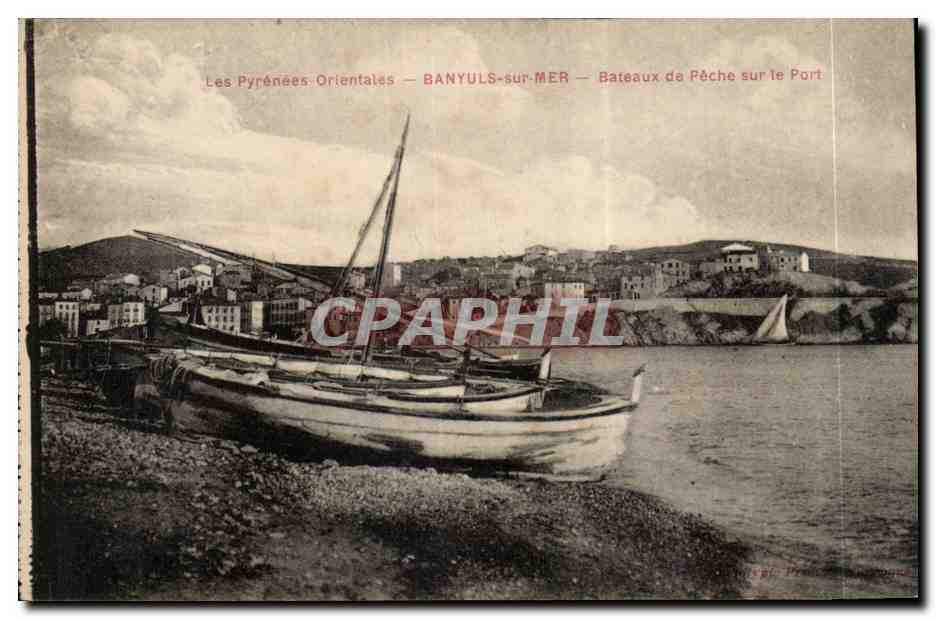 Banyuls sur Mer CPA Bateaux de peche sur le port