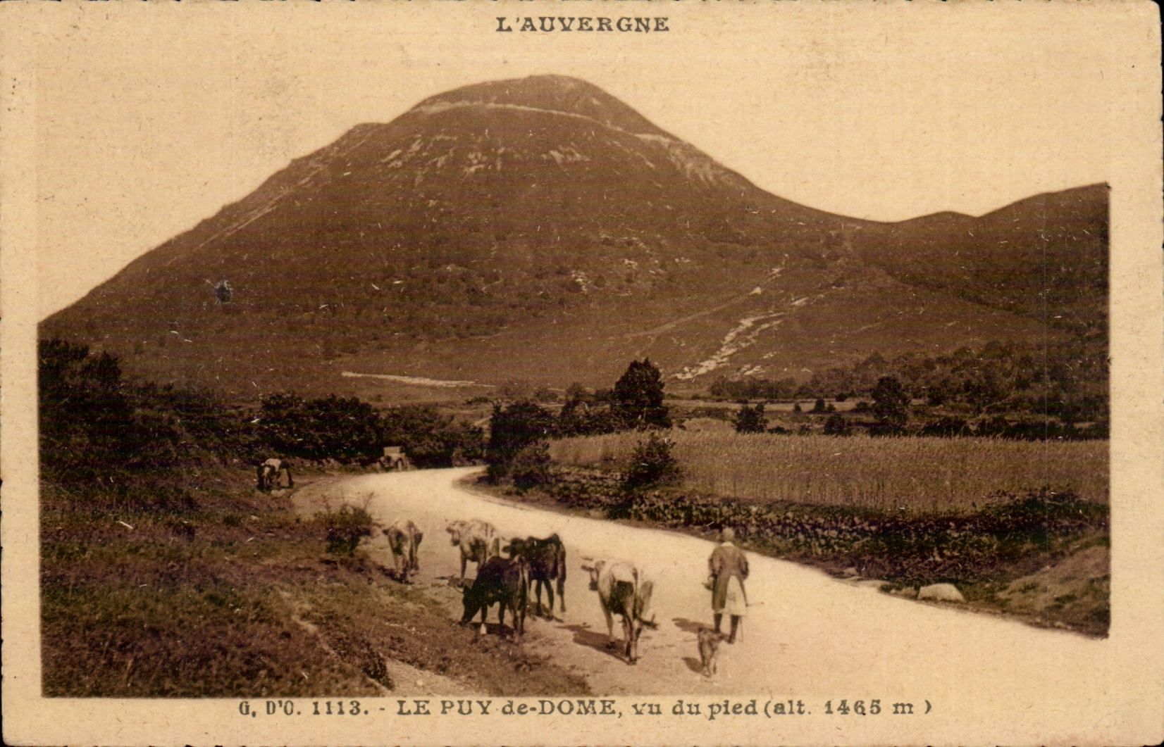 Le puy de Dome CPA Vu du pied (vaches)