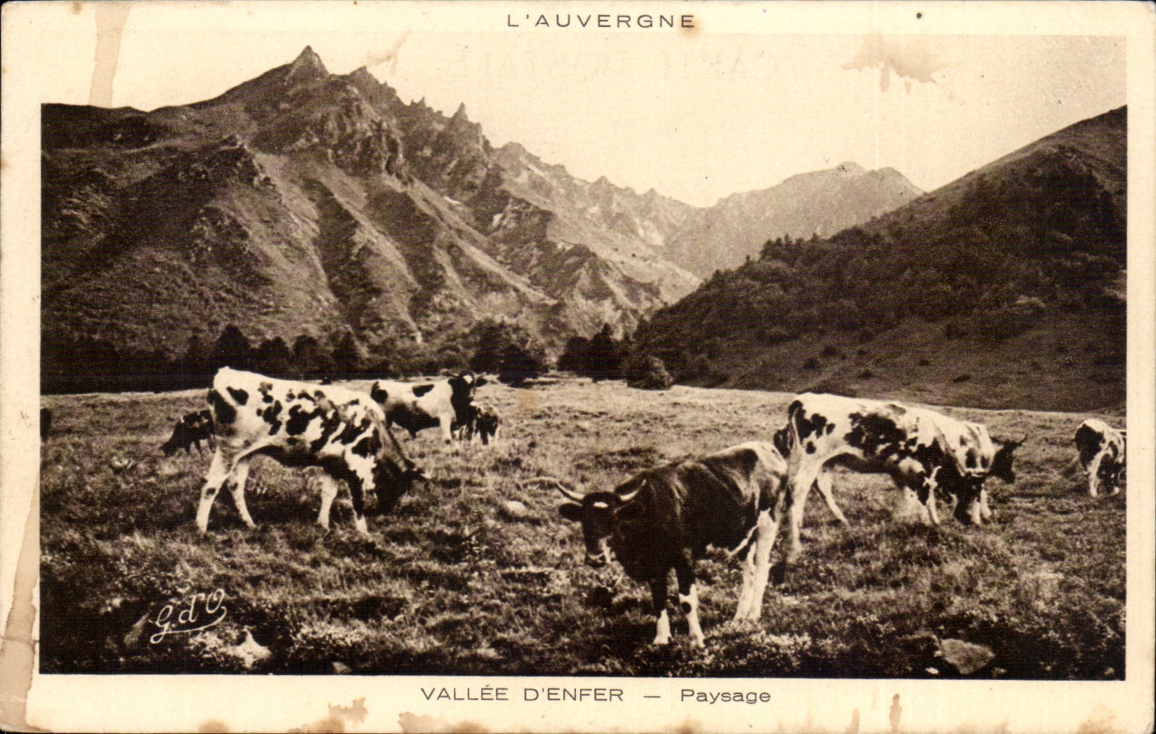 CPA Auvergne Vallee d'enfer Paysage (vaches)
