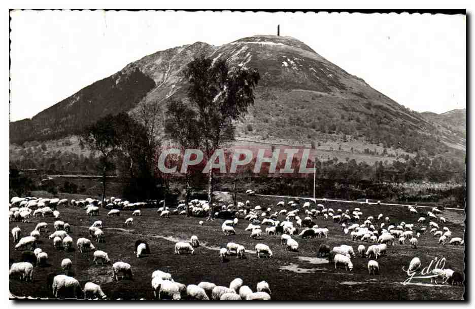 Weiden am Fuße des Puy-de-Dôme — Auvergne — Edition G. d'O. Olliergues