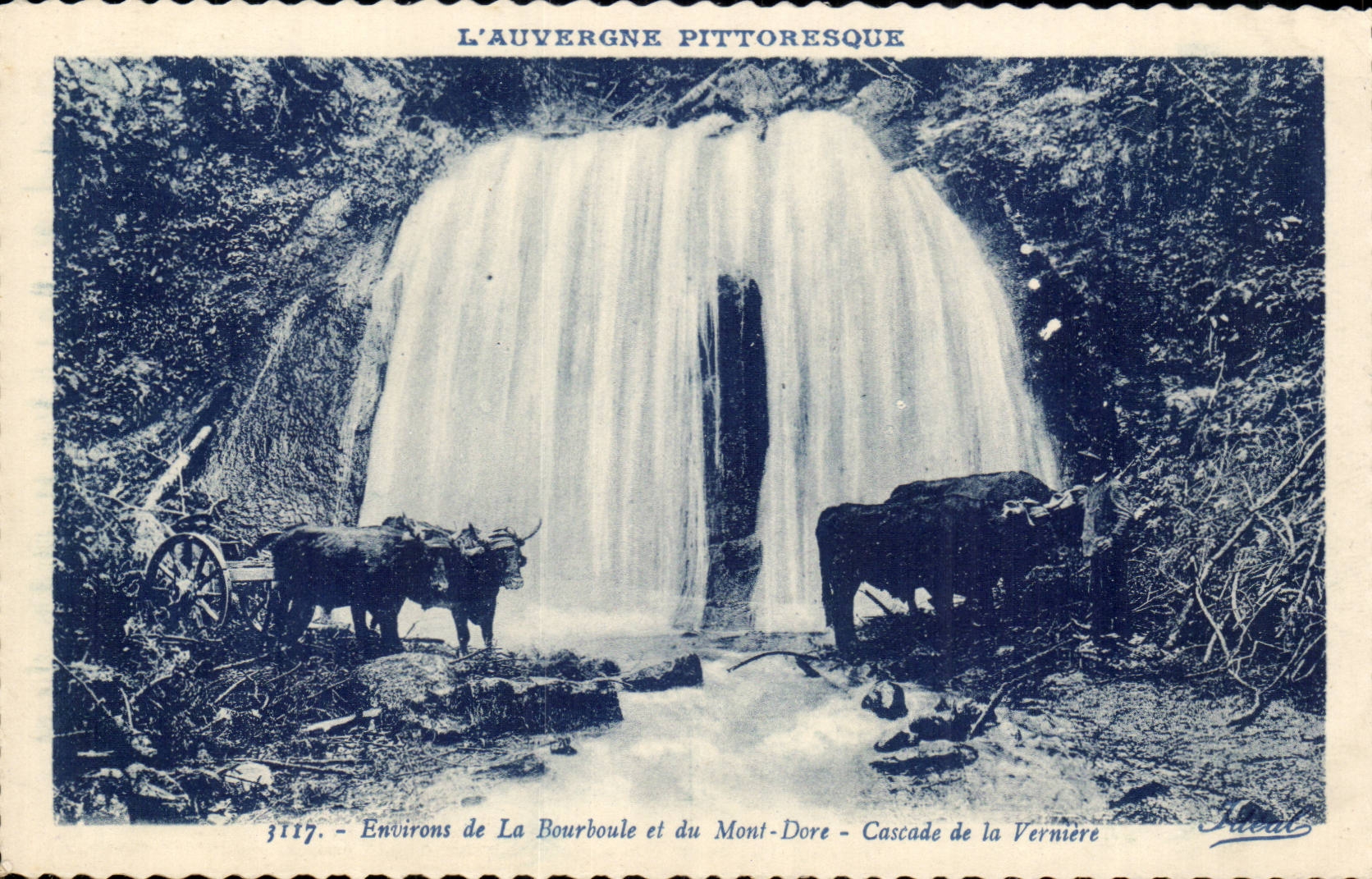 Environs de la Bourboule et le Mont Dore Cascade de la Verniere - boeuf - bull - CPA 