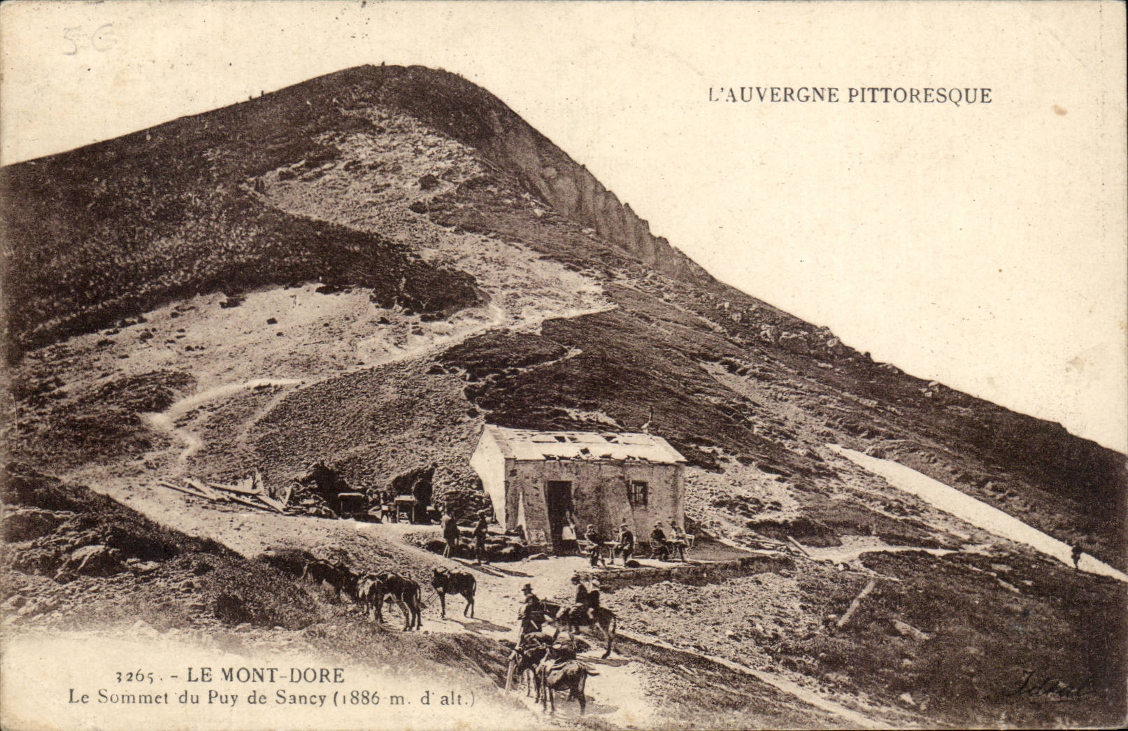Le Mont Dore CPA Le sommet du pic de Sancy (ane donkey mule)
