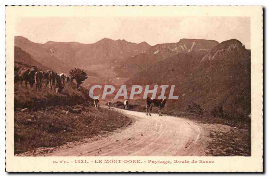 Le Mont Dore CPA Pausage Route de Besse