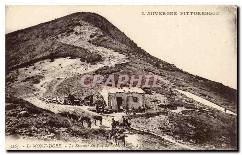 Le Mont Dore CPA Le sommet du Puy SAncy (ane donkey mule)