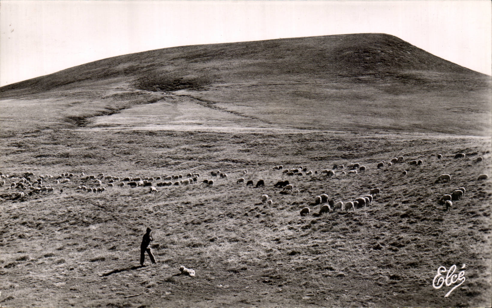 Pâturage en montagne — Auvergne — Chatatagneau