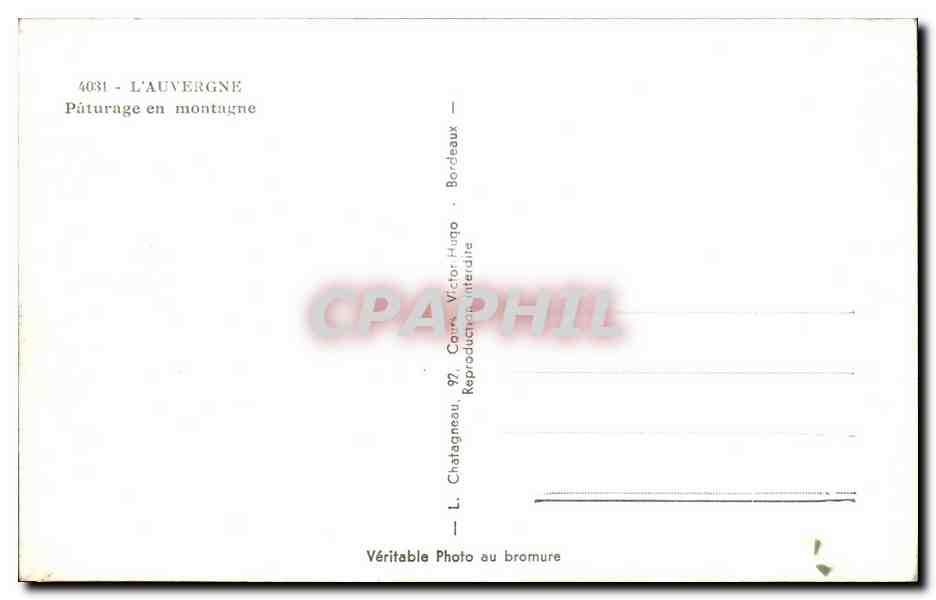 Pâturage en montagne — Auvergne — Chatatagneau — Reverso