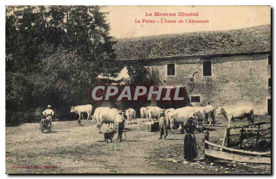 CPA Le Morvan La ferme L'heure de l'abreuvoir 
