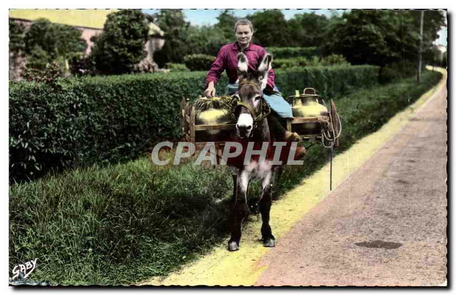 Costumes normands CPA Laitiere du Bessin (ane donley)