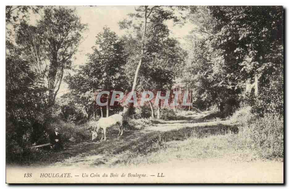 Houlgate — Un Coin du Bois de Boulogne — LL. N° 138