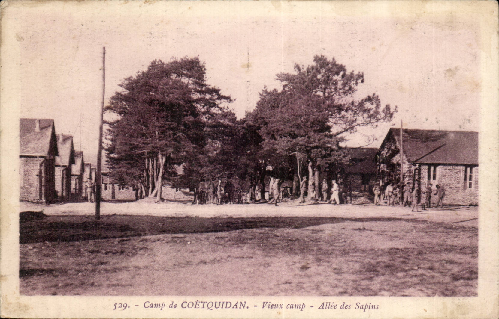 Camp de Coëtquidan - Altes Lager - Tannenallee — J. Berthaus, n°529