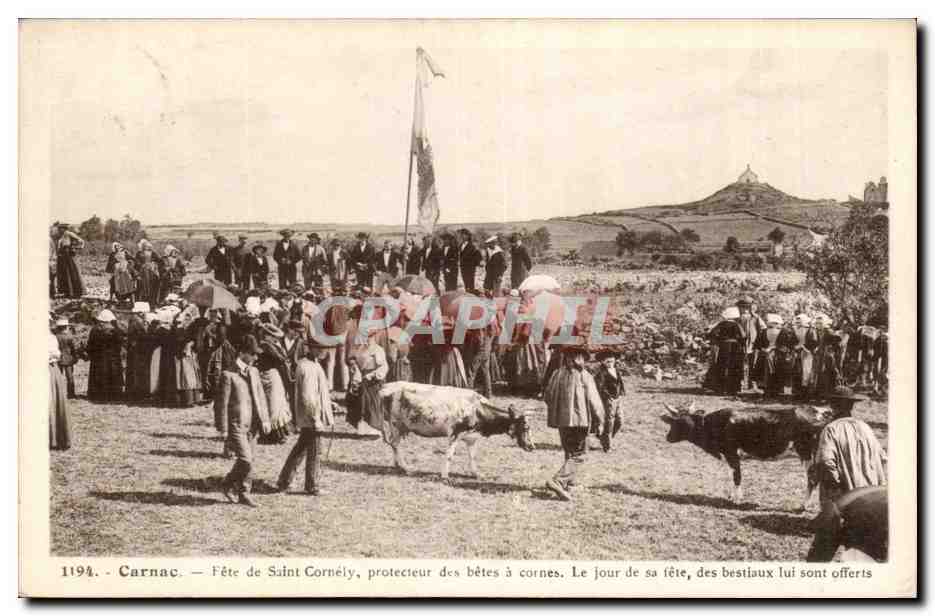 Carnac — Fest zu Ehren des heiligen Cornély, Schutzpatrons der horntragenden Tiere — CPAPHIL 1194