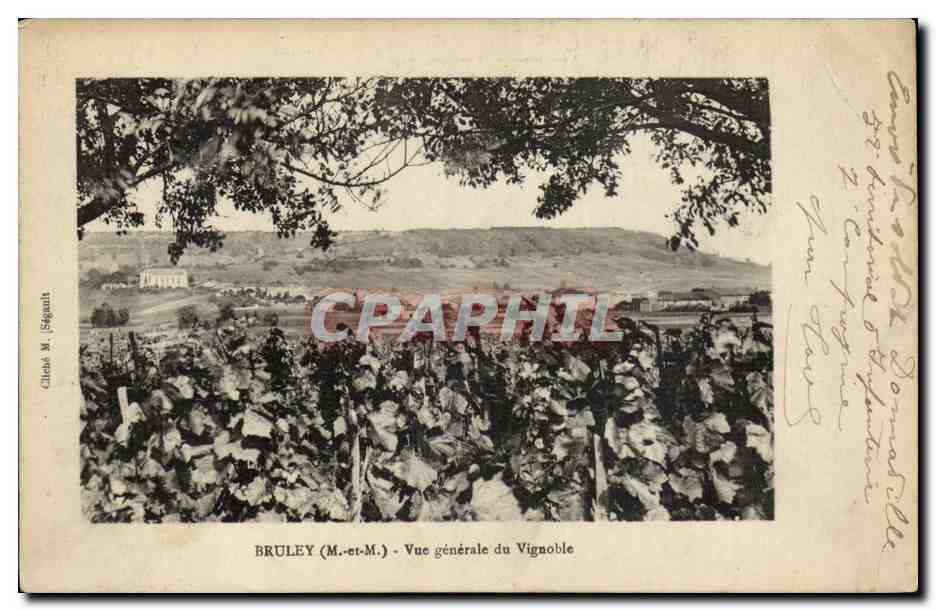 Bruley - Vue Generale du Vignoble - Vin - Winery - Vineyard - CPA 