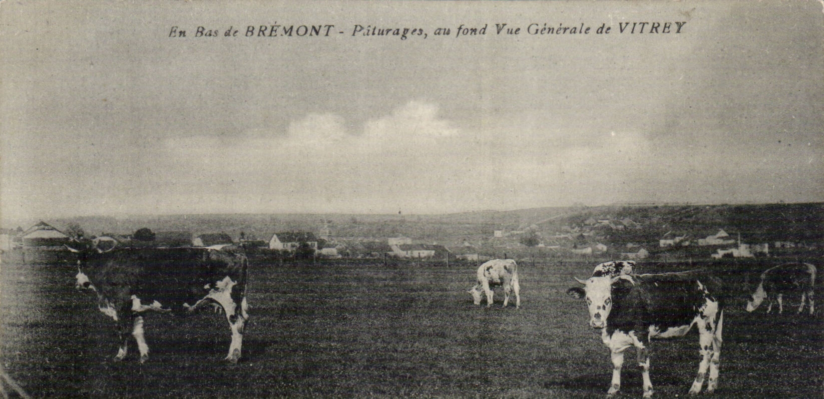 En Bas de BRÉMONT - Pâturages, au fond Vue Générale de VITREY