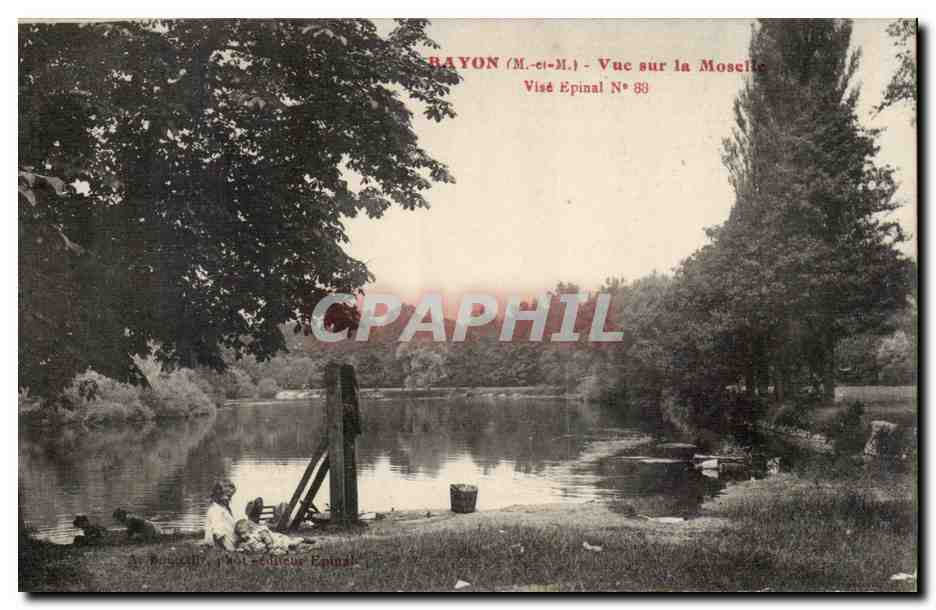 Bayon CPA Vue sur la Moselle
