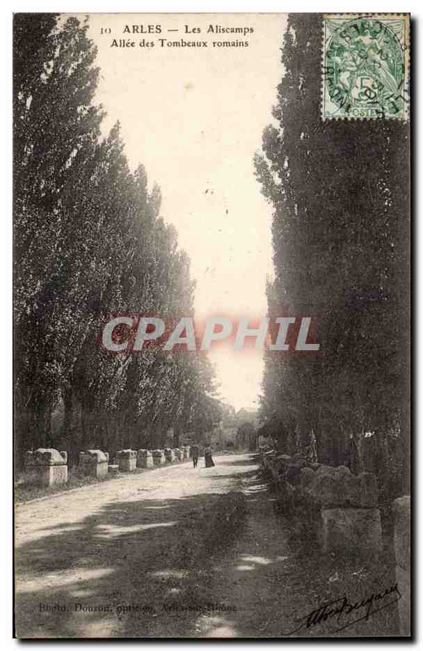 Arles - Les Aliscamps - Allee des Tombeaux romains - CPA 