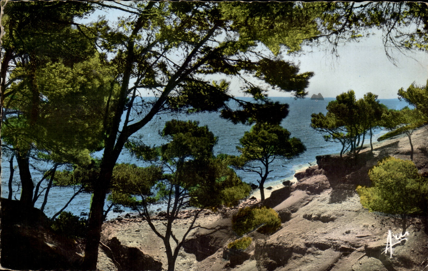 Calanques — Vue de la mer entre les pins — Éditions Photovéritable Bromocolor