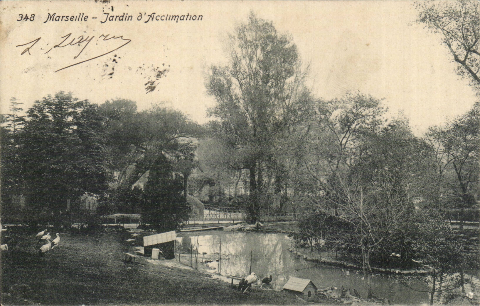 Marseille - Jardin d'Accumation - canard - CPA 
