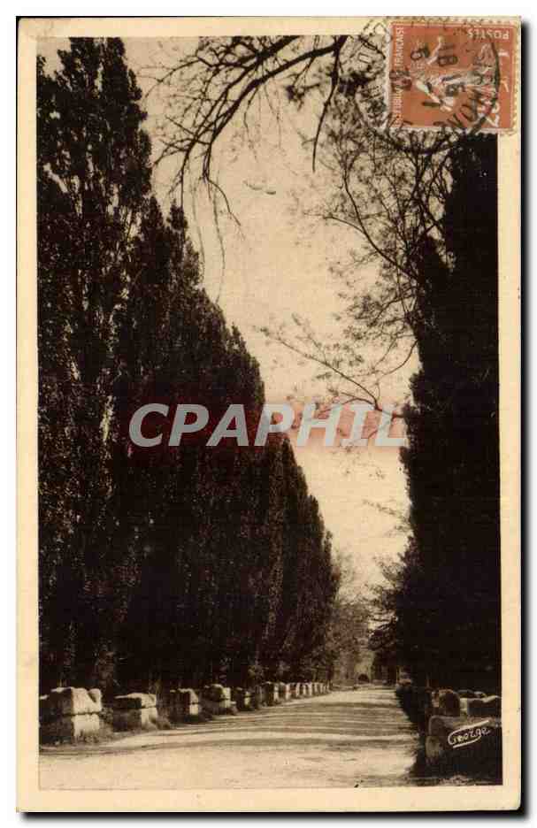 Arles - Les Alyscamps - Allee des Tombeaux - CPA 