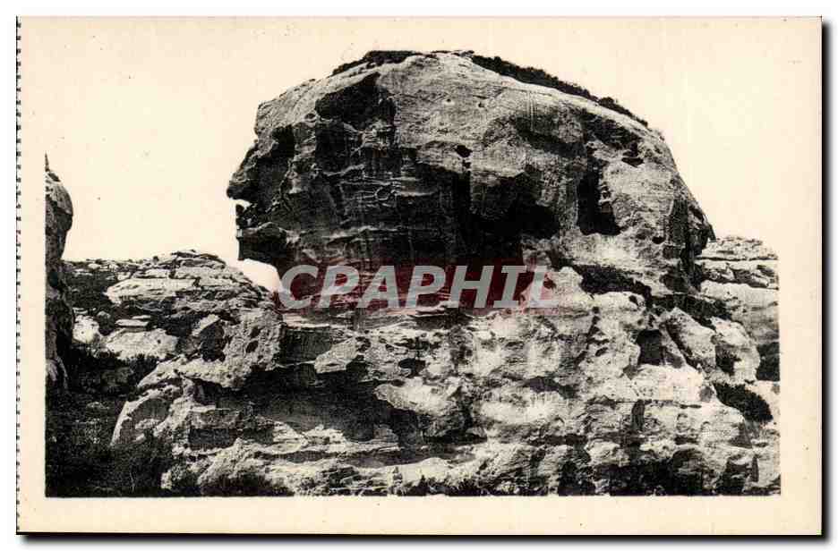 Les Baux (B.-du-Rh.) — Rocher monolithe où les prêtres druides immolaient leurs victimes — Éd. J. Georges, n° 210