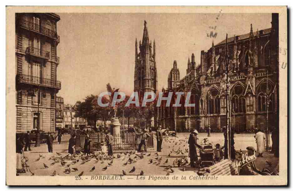 Bordeaux - Les Pigeons de la Catherale - CPA 