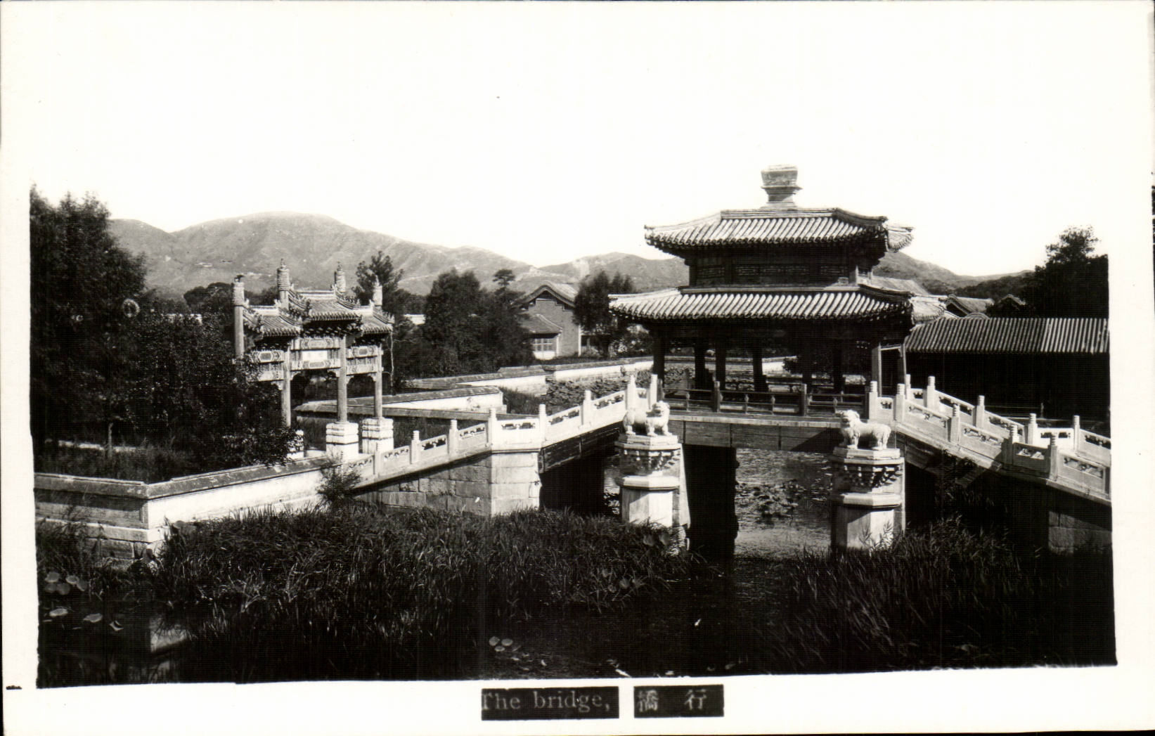 CARTE PHOTO Chine China the bridge
