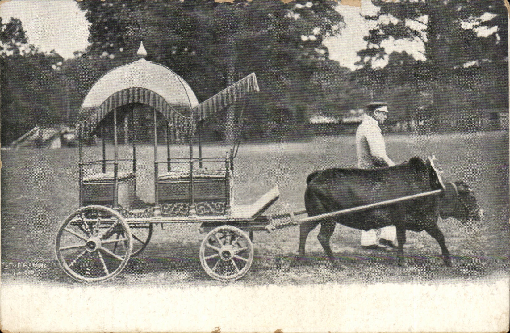 CPA Attelage Boeuf (Desvaux Paris)