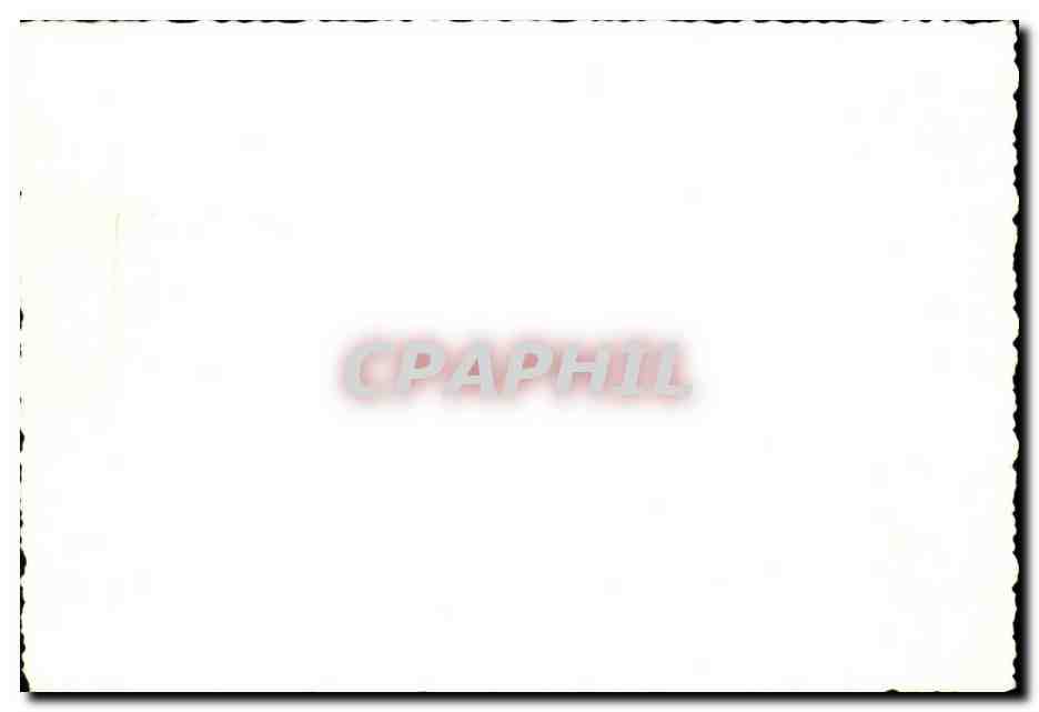 CARTE PHOTO Militaria Soldats — Rückseite