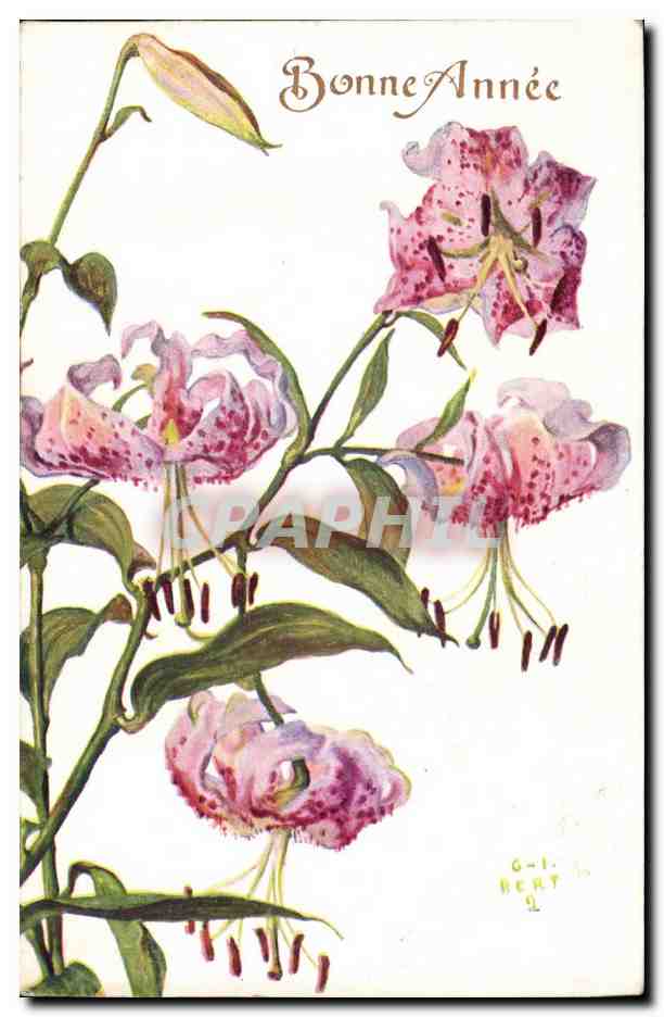 Fantaisie - Fleurs - Bonne annee - CPA 
