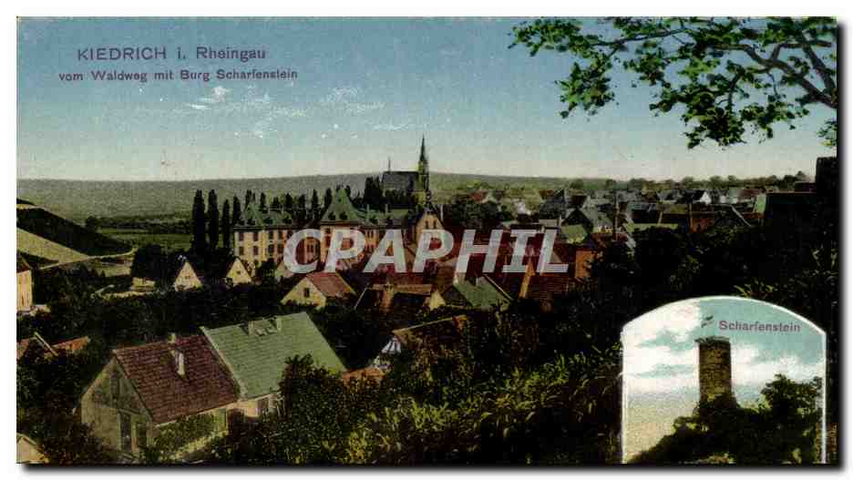 Allemagne CPA Rheingau vom Waldweg mit Burg Scharlenstein