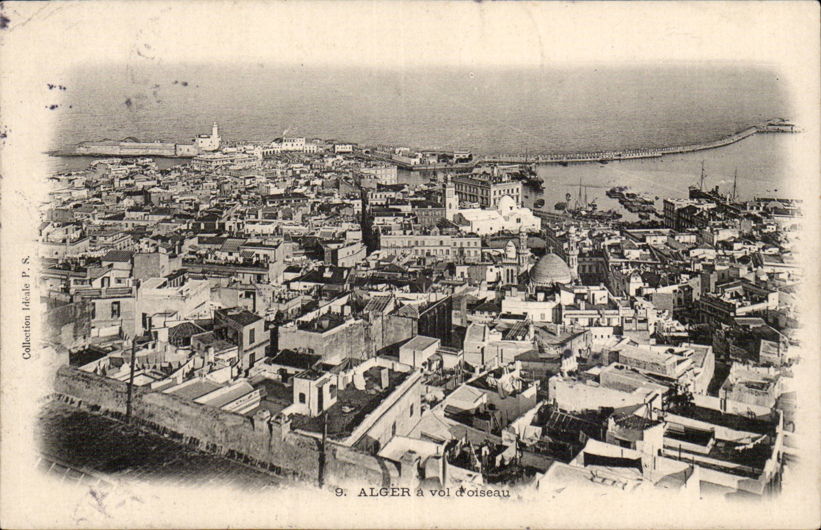 Algerie Alger CPA A vol d'oiseau