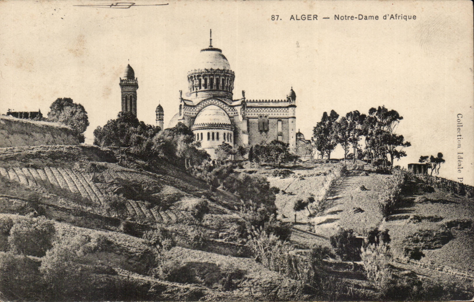 Algerie Alger CPA Notre DAme d'Afrique