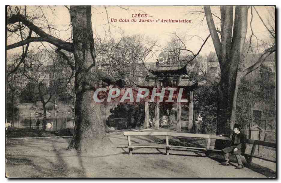 Belgie Belgique CPA Liege Un coin du jardin d'acclimatation