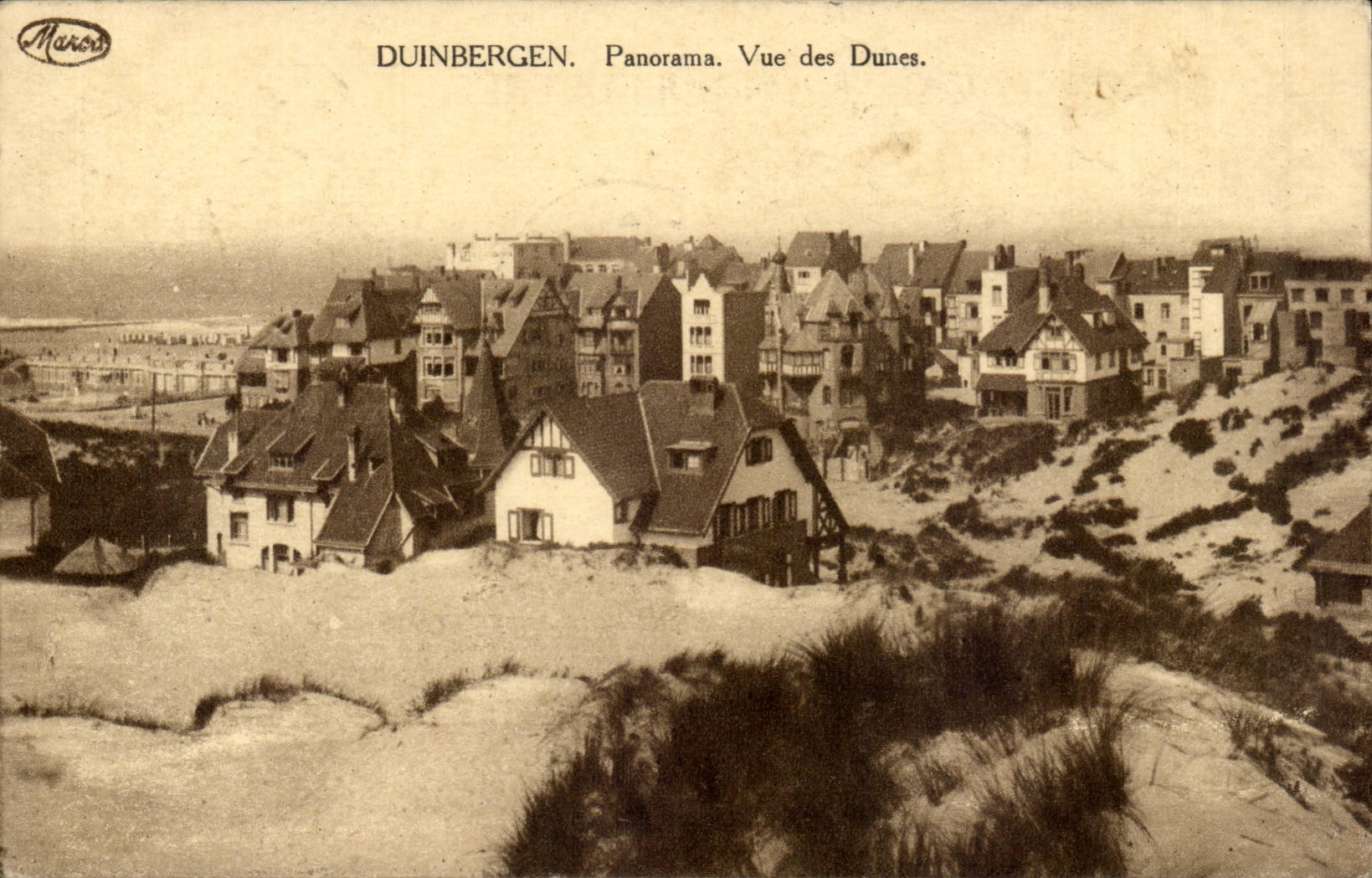 Belgie Belgique CPA Duinbergen Panorama Vue des Dunes