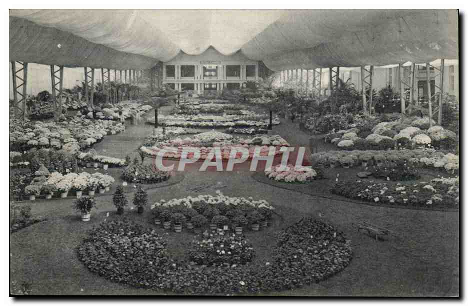 Exposition Floralis Gantoises — Gand 1913 — Éditeur STAR